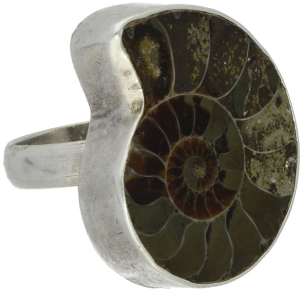 Modern Bezel-Set Ammonite Ring - Size 8.5