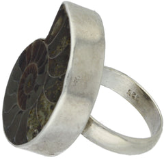 Modern Bezel-Set Ammonite Ring - Size 8.5