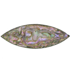 Antique Abalone Brooch